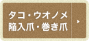 タコ・ウオノメ・陥入爪・巻き爪